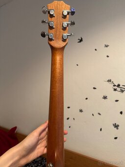 Gitara - 4