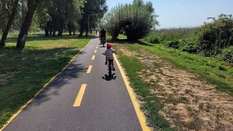 Detský bicykel YEDOO Pidapi 16 alu – červený - 4