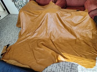 Čalunicka koža - 4