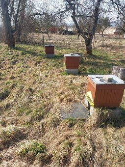 Včely-Predám Včely - 4