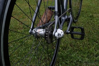 Merida Extreme 909 - 4