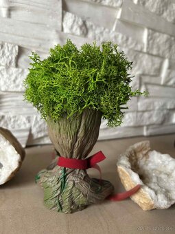 Groot so stabilizovaným machom - 4