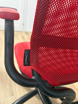 Stolicka Spinalis - 4