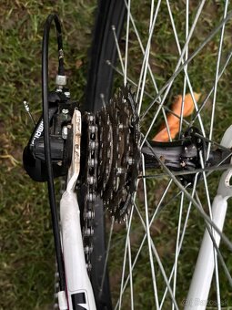 Bicykel CTM Willy - 4