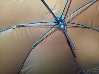 Brolly Prollogic - 4