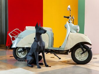 Doberman - 4