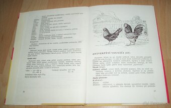 Plemená drubeže – Príručka pro chovatele drubeže, časť III - 4