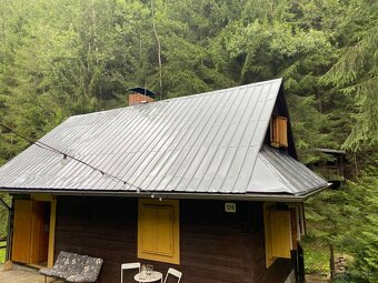 ✅❇️Natieranie striech#natery#maľovanie - 4