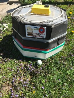 Ponúkam Liaheň - 4