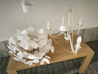 Luster biely kvietok - 4