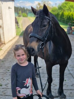 Sportovní pony - 4