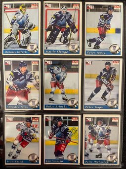APS karty hokej 95/96 - 4