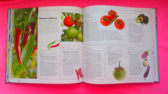 Labužníkova záhrada. - 4