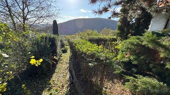 Záhradnícke práce,  úpravy a rekonštrukcie záhrad - Košice - 4