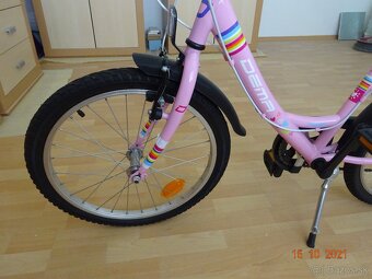 DEMA AGGY 10” - 4