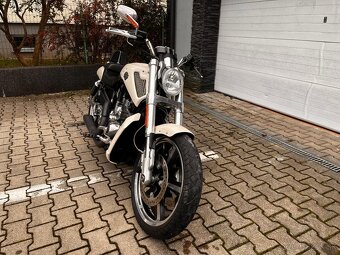 Harley Davidson Vrod Muscle - 4