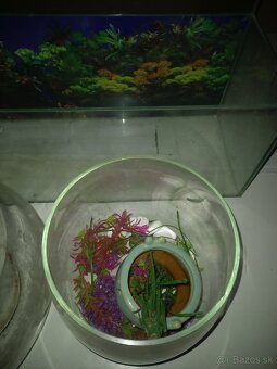 Akvarium 4ks - 4