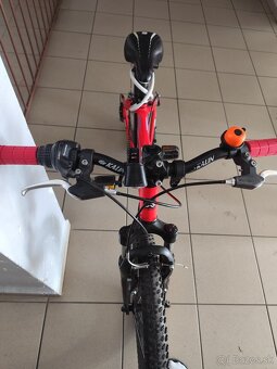Detský bicykel 20 - 4