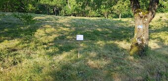 Predám pozemok v obci vínne - 4