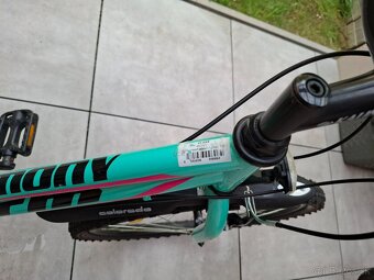 CTM Mony - 4