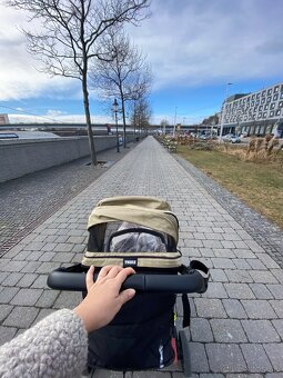 Thule Spring - 4