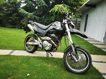 Honda FMX 650 - 4