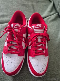 Nike Dunk Next nature - 4