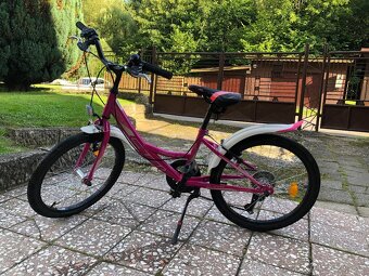 Detsky bicykel 20 - 4