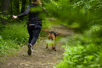 Non-stop Dogwear ťahací postroj - 4