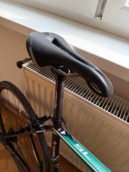 Fuji SL Carbon - 4