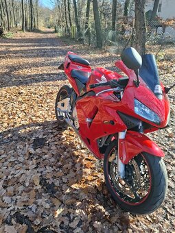 Honda cbr 600rr - 4