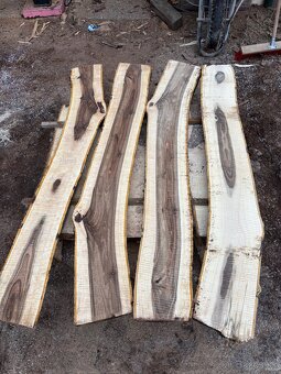 Orechové dosky rezivo drevo orech - 4