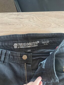 Trilobite prado 661 - 4