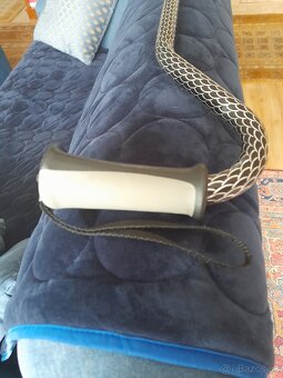 Vychadzkova palica - 4