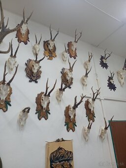 Parozie trofeje zhody - 4