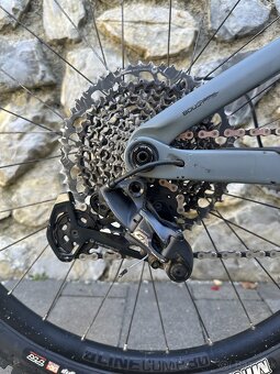 Predam TREK Remedy 9.7 - 4