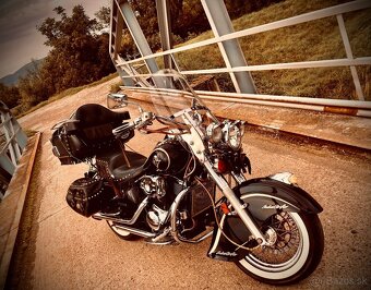 Kawasaki VN800 Drifter - 4