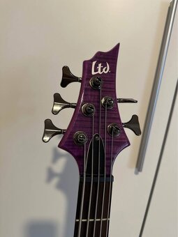 Esp Ltd F-155DX - 4