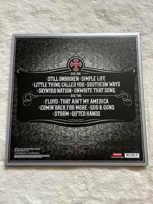 Lynyrd Skynyrd vinyl LP - 4