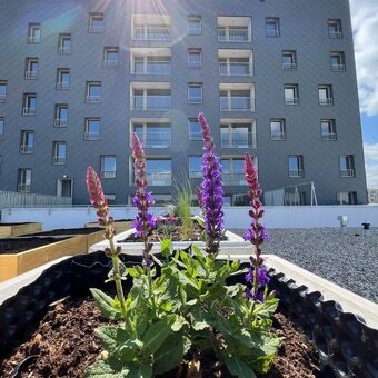 Moderný 2-izb byt pri Avione - 4