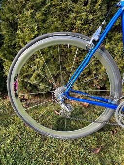 Pinarello Montello - 4