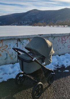 Predam bugaboo - 4