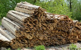 Okrajové odrezky - Palivové drevo - 4