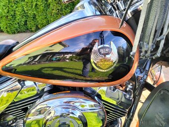 Electra Harley Davidson - 4