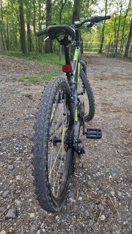 CTM 24" BERRY 1.0 HORSKY JUNIORSKY BICYKEL - 4