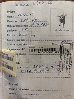 Darujem psíka - 4