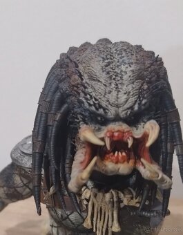 Predátor - 4