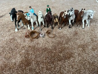 Konská stajňa s prislusenstvom - 4