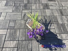 ZAMKOVÁ DLAžBA obrubník palisada zatrovnovacka - 4