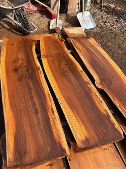 Rezivo Brest Brestove Dosky Drevo - 4